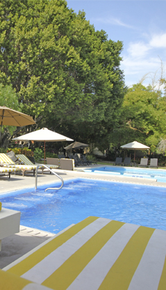 Restaurante-Los Laureles
